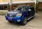 Sell Blue 2010 Ford Everest in Davao-0