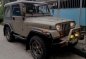 Sell Beige 1995 Jeep Wrangler in Manila-6