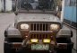Sell Beige 1995 Jeep Wrangler in Manila-3