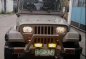 Sell Beige 1995 Jeep Wrangler in Manila-5