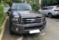 Sell Grey 2013 Ford Expedition in Quezon City-3
