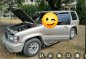 Sell Silver 2003 Isuzu Trooper in Manila-2