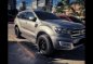 Sell Silver 2016 Ford Everest in Talisay-0