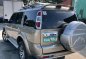 Golden Ford Everest 2012 for sale in Bacoor-2