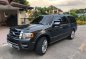 Selling Grayblack Ford Expedition 2017 in Las Pinas-1