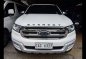 Ford Everest 2017 SUV at 45000 for sale in Quezon City-0