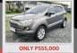 Selling Silver Ford Ecosport 2016 in Mandaue-0