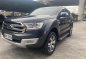 Grey Ford Everest 2018 for sale in Paranaque-6