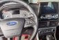 Sell Silver 2019 Ford Ecosport in Manila-0