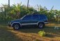 Blue Nissan Terrano 1997 for sale in Taguig-5