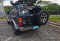 Blue Nissan Terrano 1997 for sale in Taguig-3