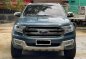 Blue Ford Everest 2018 for sale in Automatic-3