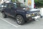 Selling Black Nissan Terrano 1996 in Parañaque-5
