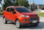 Sell Orange 2017 Ford Ecosport-4