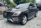 Silver Mercedes-Benz ML250 2013 for sale in Pasig -0