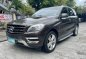 Silver Mercedes-Benz ML250 2013 for sale in Pasig -0