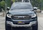 Sell Grey 2017 Ford Everest in Quezon City-0