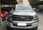 Sell Silver 2016 Ford Everest in Pasig-1