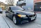 Sell Black 2015 BMW 520D in Pasig-2