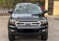 Sell Black 2017 Ford Everest in Muntinlupa-3