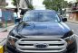 Sell Black 2017 Ford Everest in Pateros-0