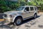 Sell Silver 2004 Ford Everest in Pasig-2