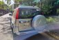 Sell Silver 2004 Ford Everest in Pasig-5