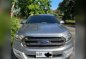 Silver Ford Everest 2017 for sale in Rizal-1