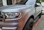 Silver Ford Everest 2016 for sale in Cainta-1