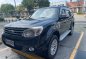 Purple Ford Everest 2015 for sale in Manila-0