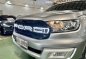 Silver Ford Everest 2018 for sale in Antipolo-3