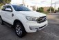 Purple Ford Everest 2018 for sale in Imus-0