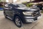 Sell Purple 2017 Ford Everest in Manila-1