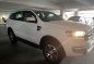 Purple Ford Everest 2018 for sale in Makati-1