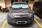 2017 Ford EcoSport  1.5 L Titanium AT in Valenzuela, Metro Manila-0