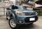 Purple Ford Everest 2014 for sale in Parañaque-2