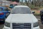 Selling Purple Ford Everest 2008 in Parañaque-6