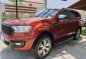 2016 Ford Everest  Titanium 3.2L 4x4 AT with Premium Package (Optional) in San Fernando, Pampanga-13
