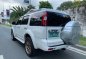 Sell White 2013 Ford Everest in Pasig-5