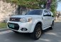 Sell White 2013 Ford Everest in Pasig-9