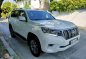 2019 Toyota Land Cruiser Prado in Pasay, Metro Manila-7