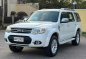 2014 Ford Everest in Las Piñas, Metro Manila-0