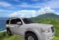 Sell White 2008 Ford Everest in Caloocan-1