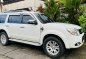 Sell White 2015 Ford Everest in San Mateo-2