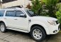 Sell White 2015 Ford Everest in San Mateo-0