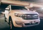 2017 Ford Everest  Trend 2.2L 4x2 AT in Caloocan, Metro Manila-0
