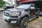 2017 Ford Everest in Las Piñas, Metro Manila-1