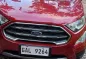 2019 Ford EcoSport  1.5 L Titanium AT in Panglao, Bohol-1